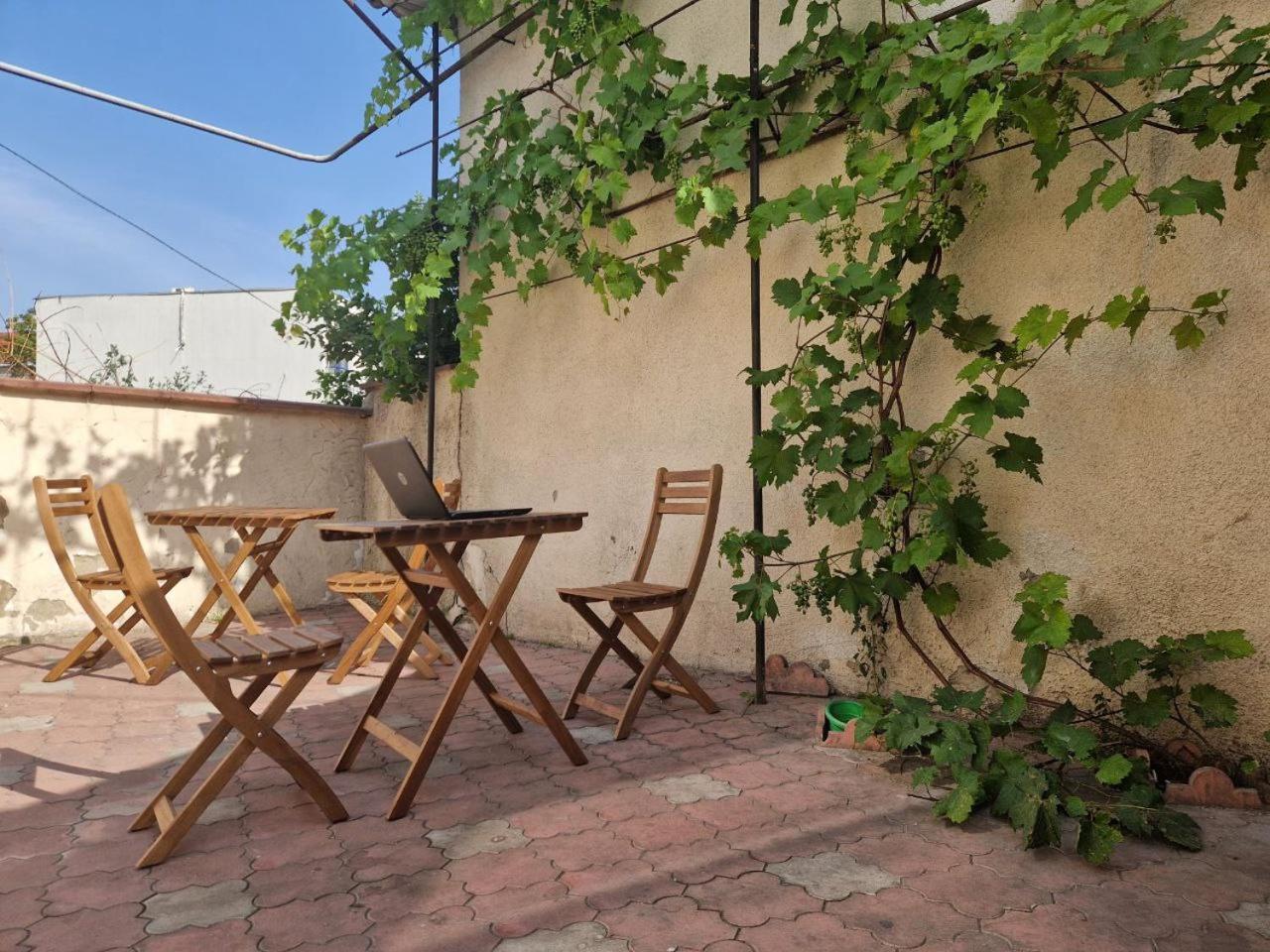 Buddha Hostel Bodoni キシナウ エクステリア 写真